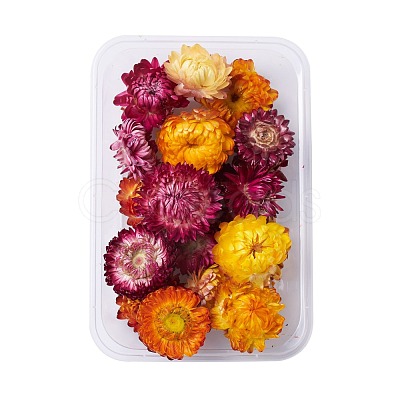 Dried Flowers DIY-D052-26-1