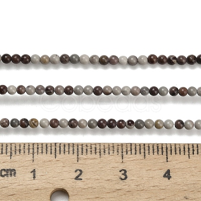 Natural Red Dendritic Jasper Beads Strands G-Z116-A27-2mm-1