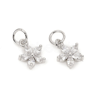 Brass Micro Pave Cubic Zirconia Charms LS-ZIRC-L096-10P-1