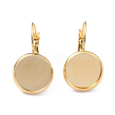 304 Stainless Steel Leverback Earring Settings STAS-F191-03G-10mm-1