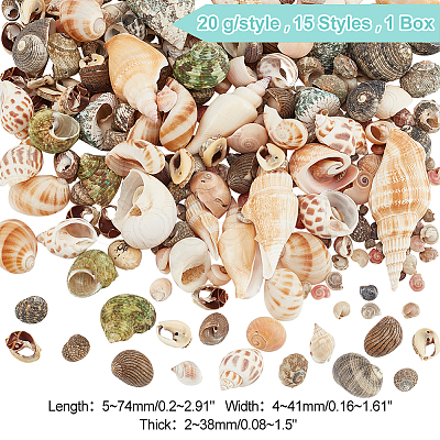 PandaHall Elite 300G 15 Styles Natural Mixed Shell Beads SSHEL-PH0001-24-1