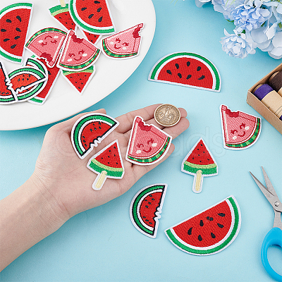 20Pcs 4 Styles Watermelon Nylon Computerized Embroidery Cloth Iron on/Sew on Patches DIY-HY0002-87-1