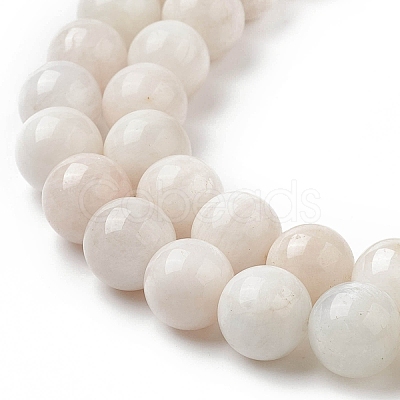 Natural Grey Moonstone Beads Strands G-I279-C01-10mm-A-1