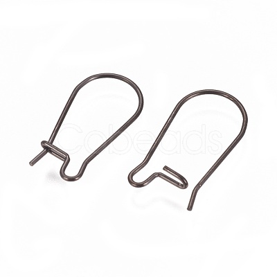 304 Stainless Steel Hoop Earrings Findings Kidney Ear Wires X-STAS-L216-22C-B-1