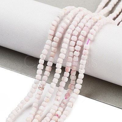 Natural Sea Shell Beads Strands G-H042-B33-01-1