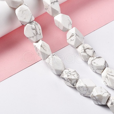 Natural Howlite Beads Strands G-L235A-14-1