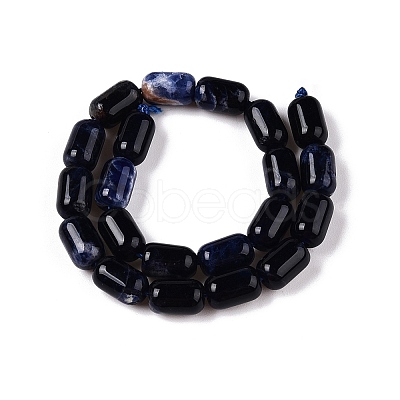 Natural Sodalite Beads Strands G-G980-37B-1