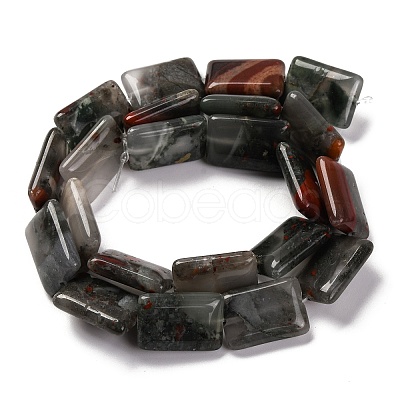 Natural African Bloodstone Beads Strands G-T047-B06-01-1