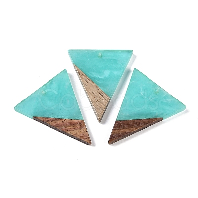 Resin & Wood Pendants WOOD-F015-06B-1