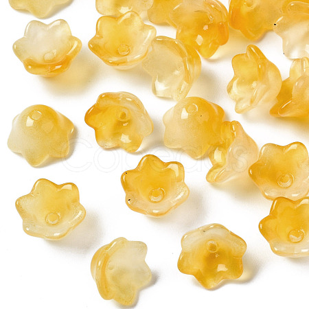 Transparent Two Tone Spray Painted Glass Beads GLAA-Q089-002B-009-1