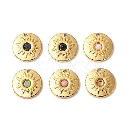 Natural Mixed Stone Flat Round Charms STAS-F312-14G-1
