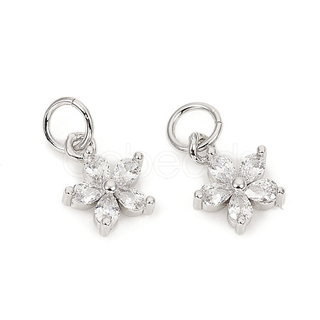 Brass Micro Pave Cubic Zirconia Charms LS-ZIRC-L096-10P-1