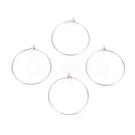 Ion Plating(IP) 316L Surgical Stainless Steel Hoop Earring Findings X-STAS-D164-01RG-1