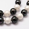 Shell Pearl Bead Strands BSHE-L017-13-3