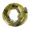 Natural Xiuyan Jade Beads Strands G-T141-73-2