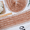 2 Yards Organza Ribbons SRIB-GF0001-66A-4
