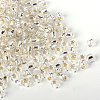 MGB Matsuno Glass Beads SEED-R033-2mm-34RR-3