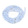 Natural Freshwater Shell Beads Strands BSHE-T009A-01F-2