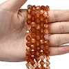 Natural Red Agate Beads Strands G-Z119-A02-02-2