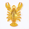 Transparent Acrylic Pendants X-TACR-S149-02-2