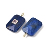 Dyed Natural Lapis Lazuli Pendants LS-G-I391-03G-08-2