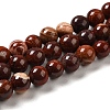 Natural Red Snakeskin Jasper Beads Strands G-H298-A02-02-1