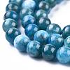 Natural Apatite Beads Strands G-O186-E02-6mm-6