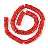 1 Strand Natural Freshwater Shell Beads Strands SHEL-TA0001-35C-1