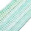 Natural Malaysia Jade Beads Strands G-L645-A01-10mm-31-3