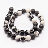 Natural Zebra Jasper Beads Strands G-F511-03-8mm-2