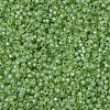 MIYUKI Round Rocailles Beads SEED-X0054-RR0676-2