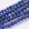 Natural Sodalite Beads Strands G-G515-4mm-07-1