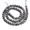 Natural Black Labradorite Beads Strands G-S333-6mm-021B-2