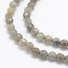 Natural Labradorite Beads Strands G-P322-30-4mm-3