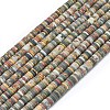 Natural Red Picasso Jasper/Polychrome Jasper Beads Strands G-P575-B10-6x1mm-2