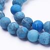 Dyed Natural Map Stone/Picasso Stone/Picasso Jasper Beads Strands G-F520-52-6mm-3