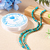 DIY Natural Regalite/Imperial Jasper/Sea Sediment Jasper Beads Bracelets  Making KIts DIY-TA0002-69A-6