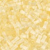FGB Grade A Drawbench Style Glass Seed Beads SEED-Q040-01A-06-3