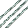 Spray Painted 304 Stainless Steel Curb Chains STAS-B067-05A-01-1