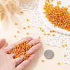 Picasso Baking Paint Glass Seed Beads SEED-TA0001-62C-5