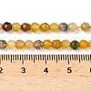 Natural Agate Beads Strands G-H302-A01-14-3