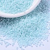 MIYUKI Delica Beads X-SEED-J020-DB1859-1