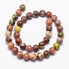 Natural Plum Blossom Jasper Beads Strands G-A163-02-10mm-2