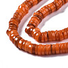 Natural Freshwater Shell Beads Strands X-SHEL-Q024-001G-3