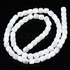 Natural Trochid Shell/Trochus Shell Beads Strands X-SSHEL-N034-121-B01-2