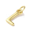 Rack Plating Brass Charms KK-P245-06G-L-2