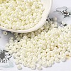 6/0 Glass Seed Beads X1-SEED-M012-01A-10-1