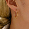 304 Sainless Steel Hoop Earrings for Women AL6869-1