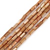 Natural Freshwater Shell Dyed Beads Strands SHEL-M018-11-11-1