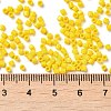 Opaque Glass Seed Beads SEED-S042-22B-02-4